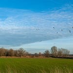 Eerste dag van de winter 7 DSC05283 1