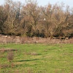 Eerste dag van de winter 10 DSC05293 1 resultaat