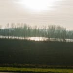 Eerste dag van de winter 20 DSC05294 1 resultaat