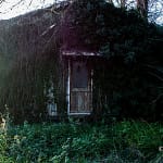 Eerste dag van de winter 15 Zonnige winterdag in de Ooijpolder tijdens een wandeling in december