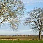 Eerste dag van de winter 2 Vanaf de Bredestraat in Leuth