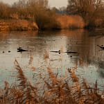 Eerste dag van de winter 24 DSC05331 1 resultaat