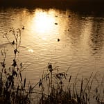 Eerste dag van de winter 25 DSC05334 1 resultaat