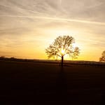 Eerste dag van de winter 28 DSC05345 1 resultaat