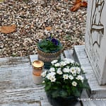 Herfst op de begraafplaats in Leuth 8 begraafplaats Leuth 20251103 5