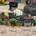 Herfst op de begraafplaats in Leuth 11 begraafplaats Leuth 20251103 8