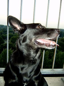 Maxie †2011 3 f430938256