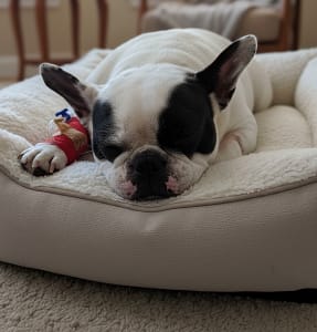 't leuthert wa 5 Shelly †2025