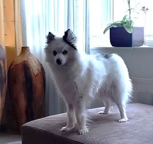 't leuthert wa 3 Snowy