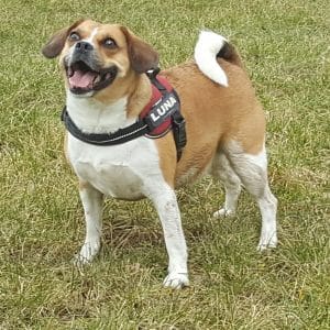 't leuthert wa 7 Luna in de polder