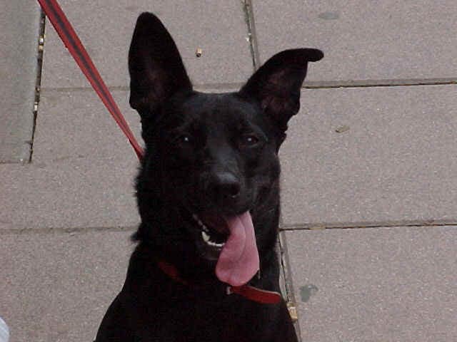 Maxie †2011 61 f430944128